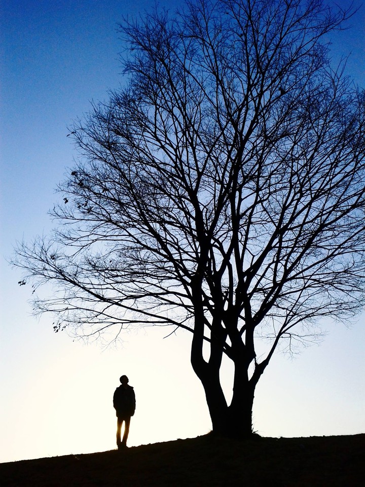 People And Tree