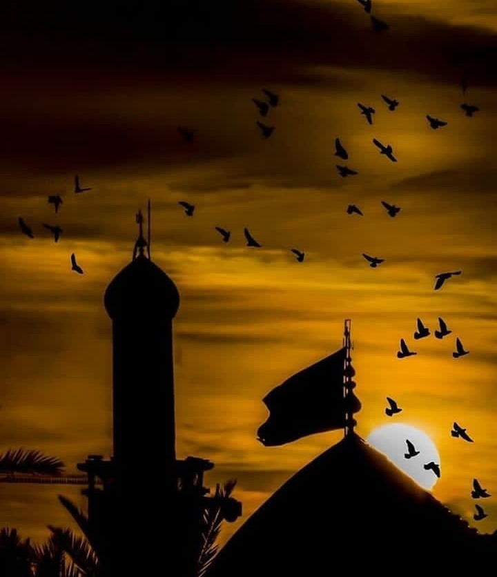 حرم اقام حسینه ... ?