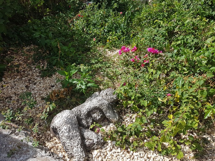 Altos de Chavon