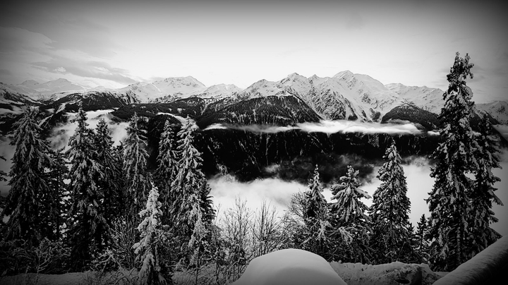 le paradis blanc