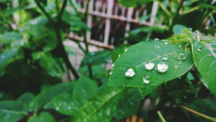 nature is amazing