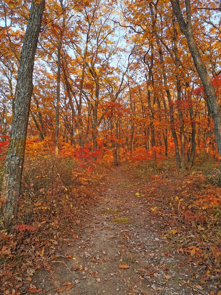 Autumn pass