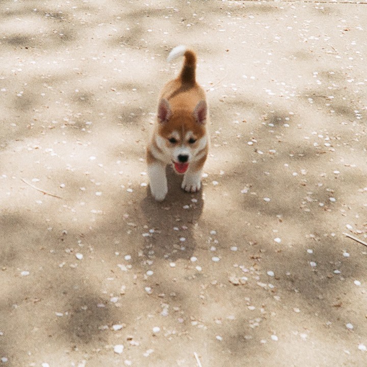 run
