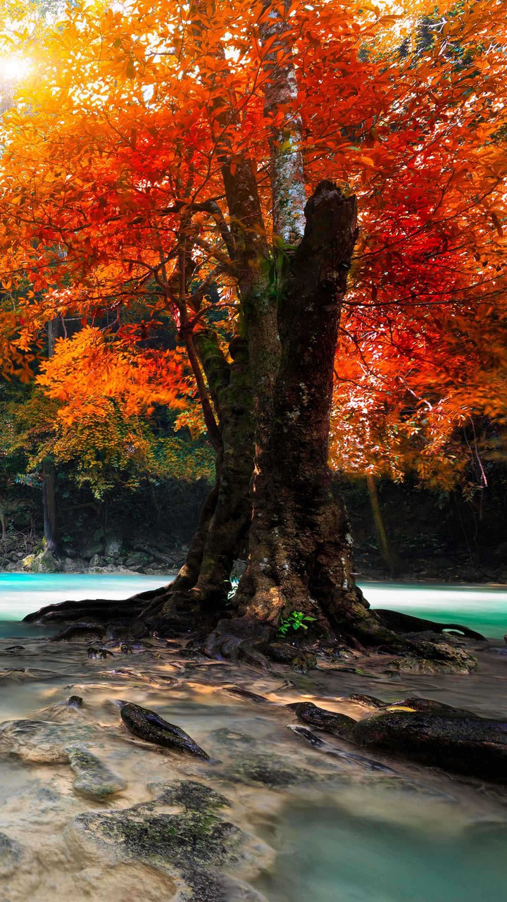 autunno