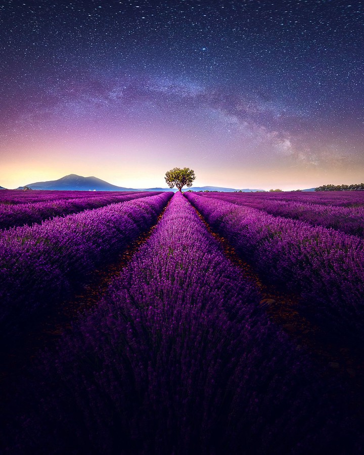 wow
