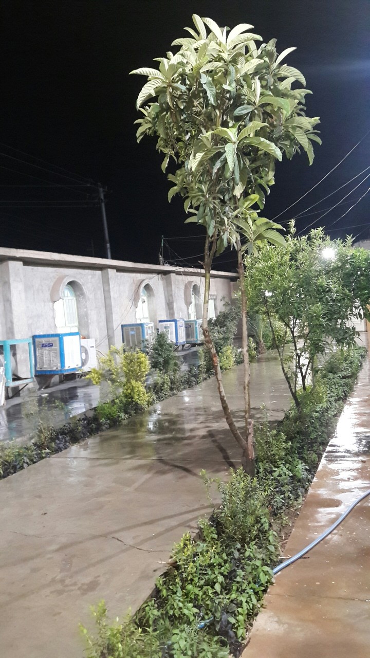 rainy May in Kalar