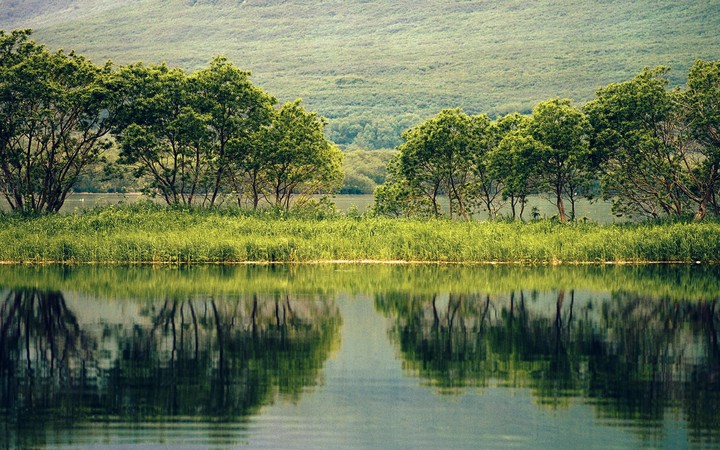 nature