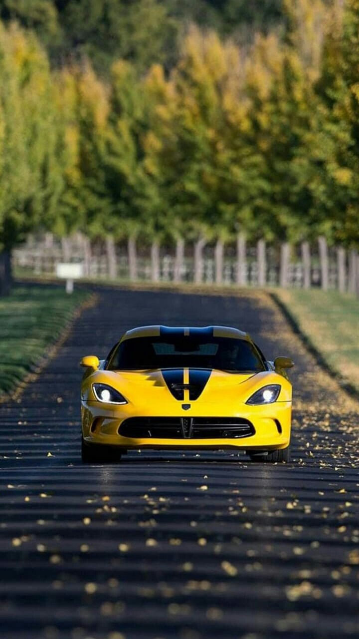 sports car