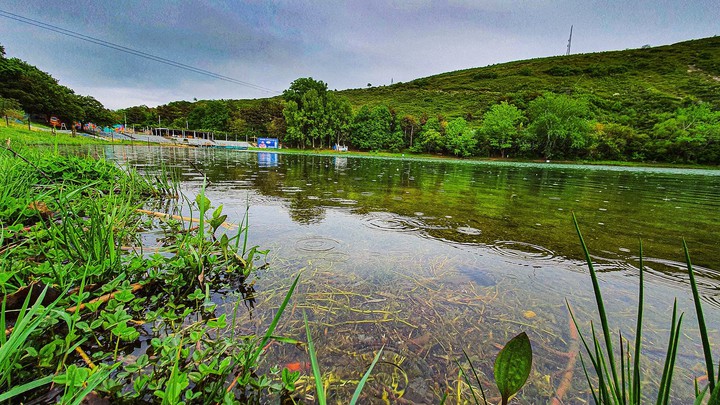 Turtle lake in Tbilisi