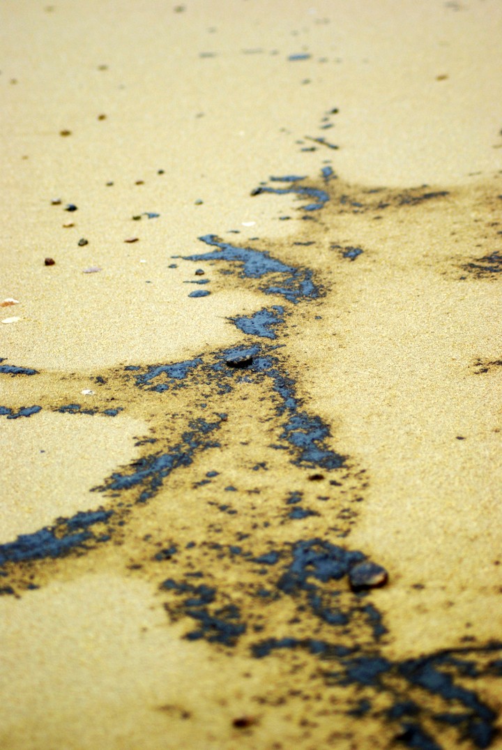 Environment