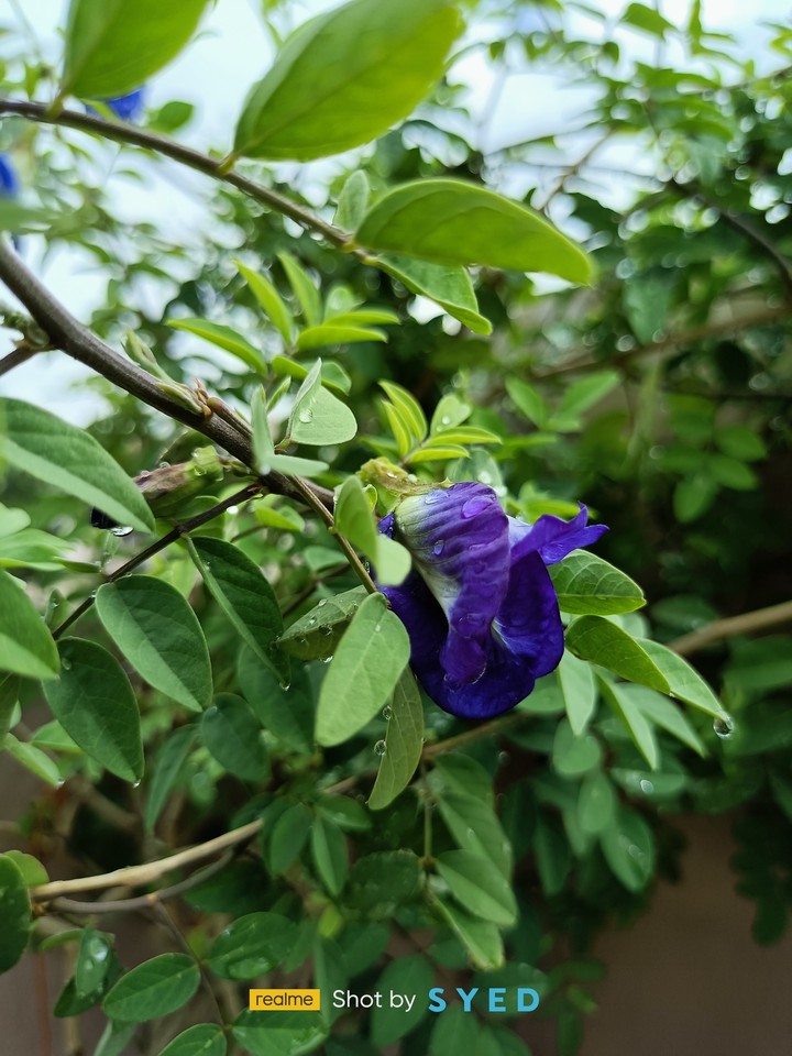 beautiful nature