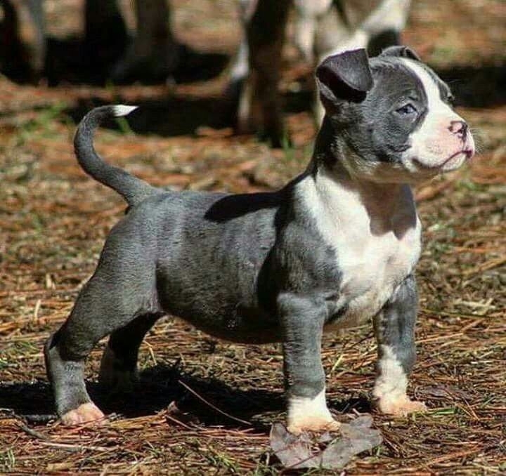 ♥️♥️♥️
