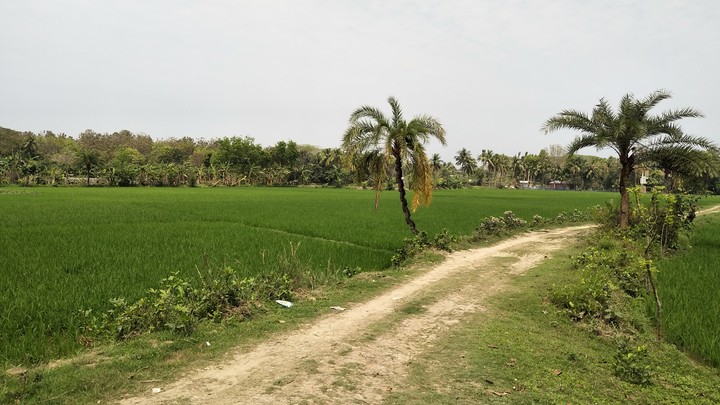 village