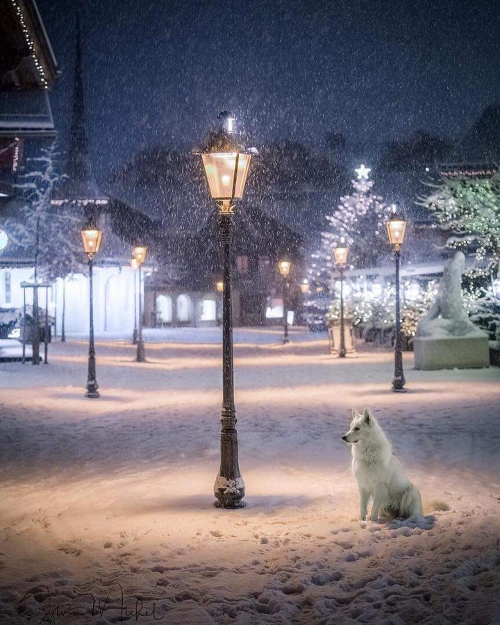 winter