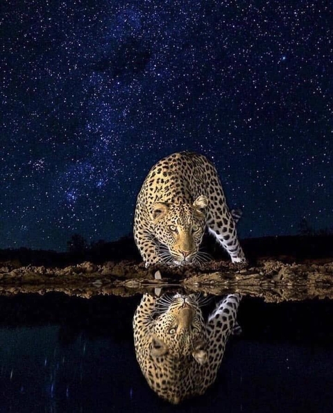 nature
