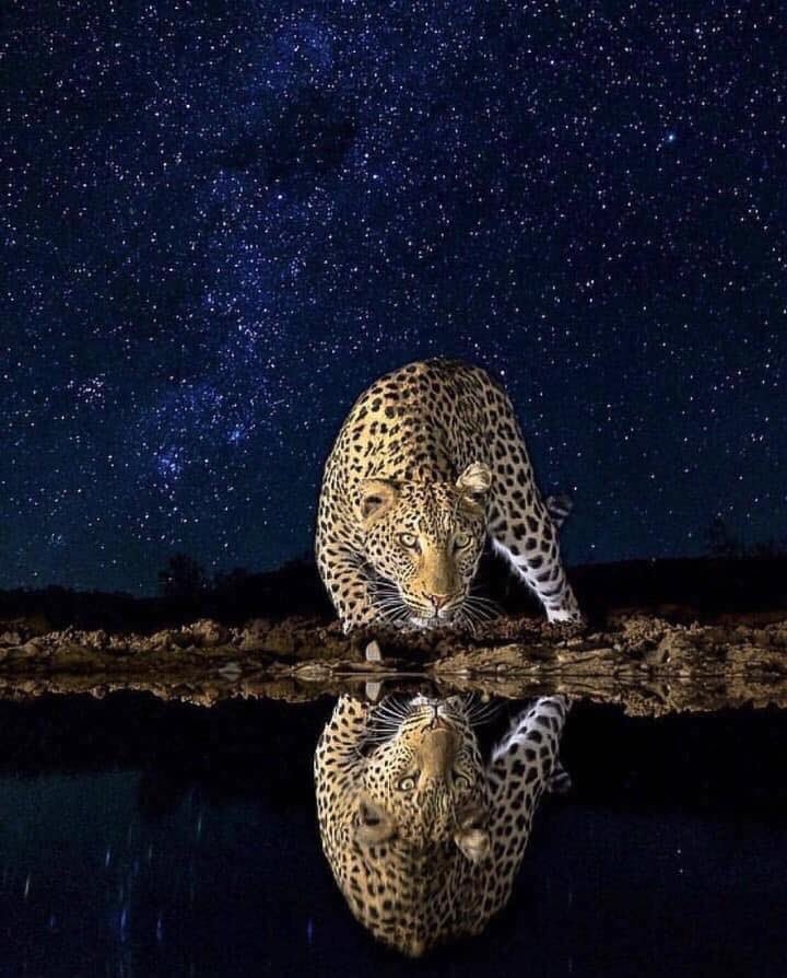 nature