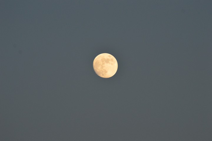 Moon