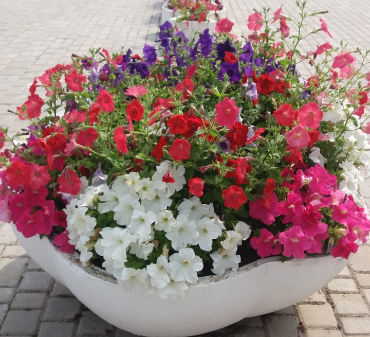 Vase with flowers