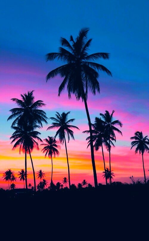sea