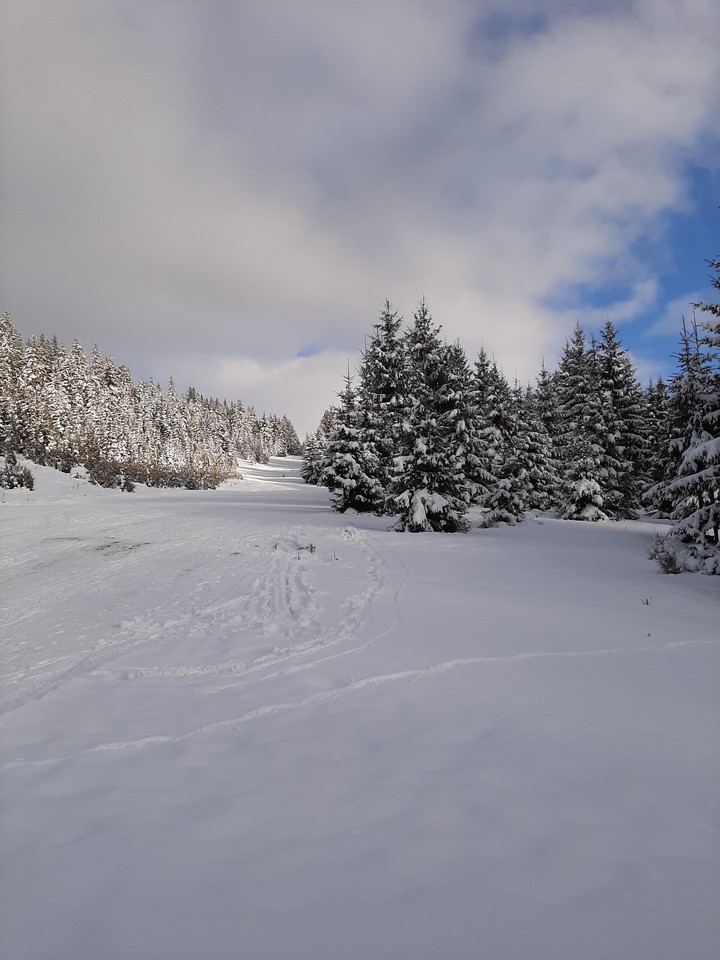 Vlasic, Bosnia and Herzegovina