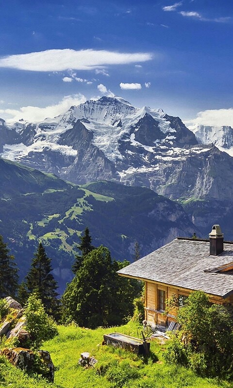 dream house