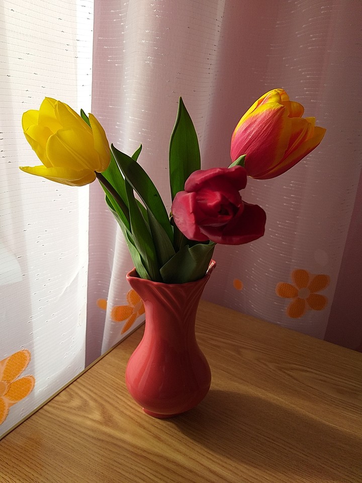 Spring came! ?❤