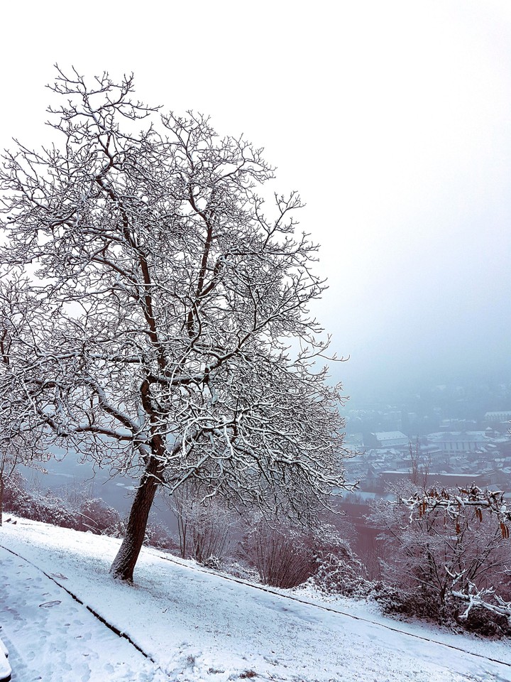 Winter