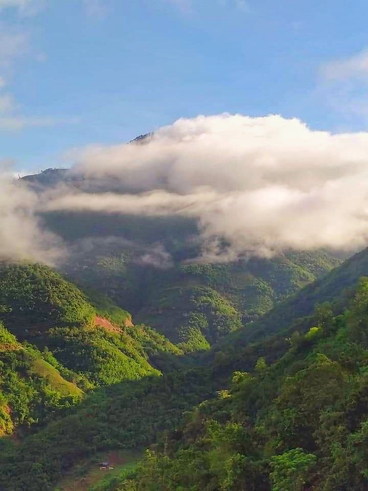Highlands - Vietnam
