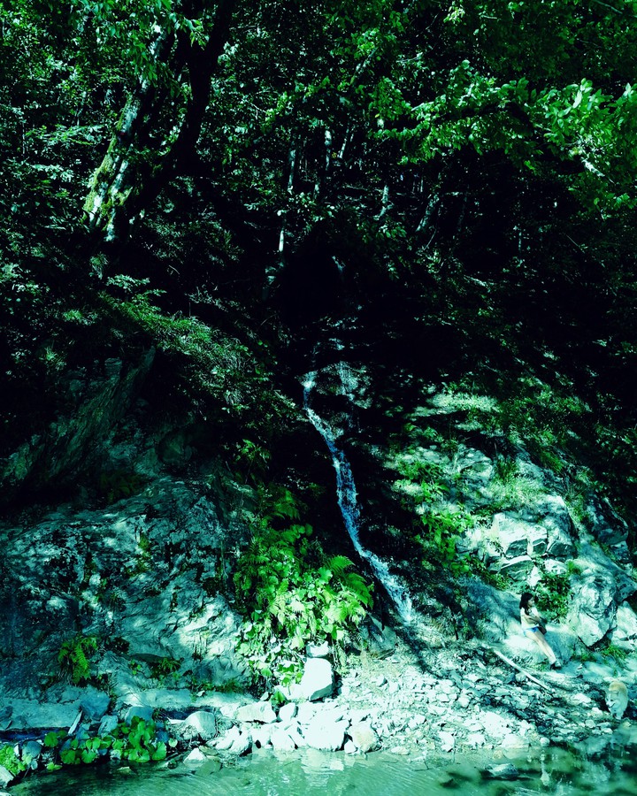 A Quiet Place