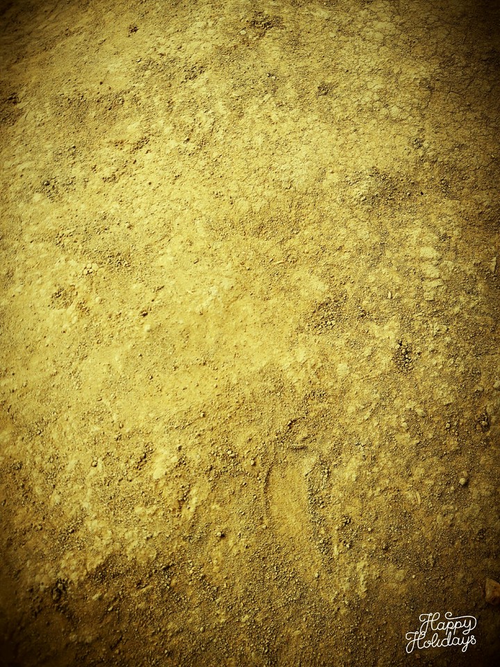 Dry soil floor