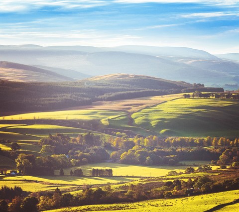 scotland
