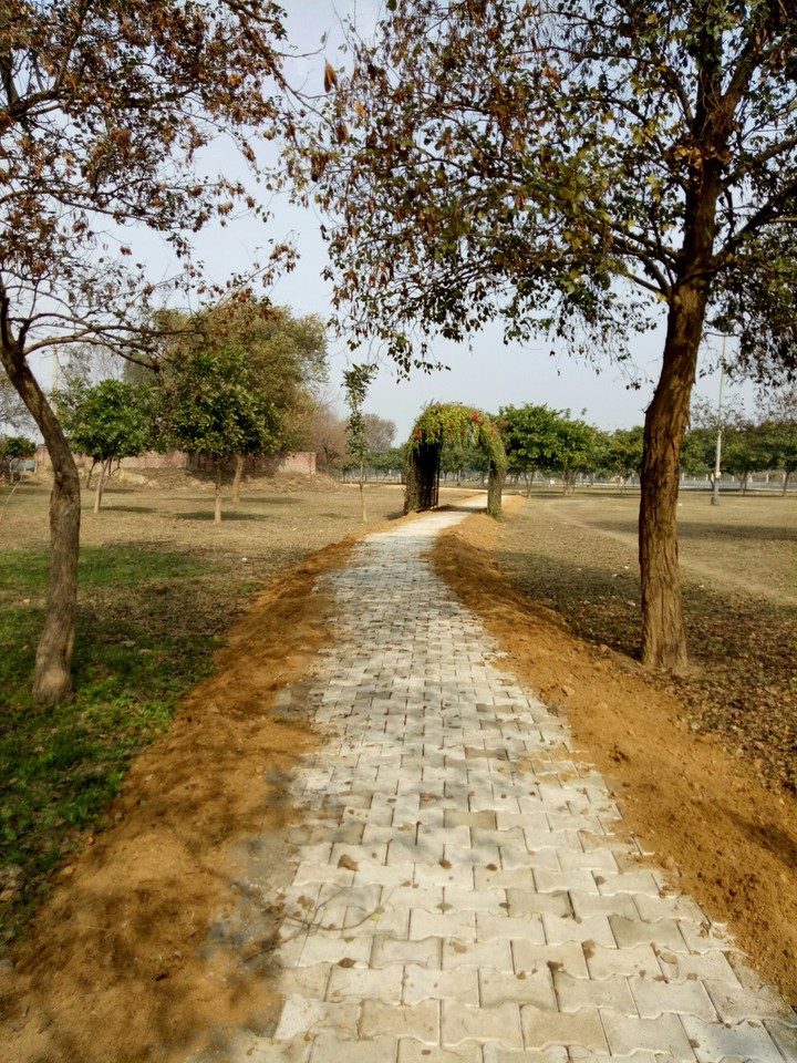 nature