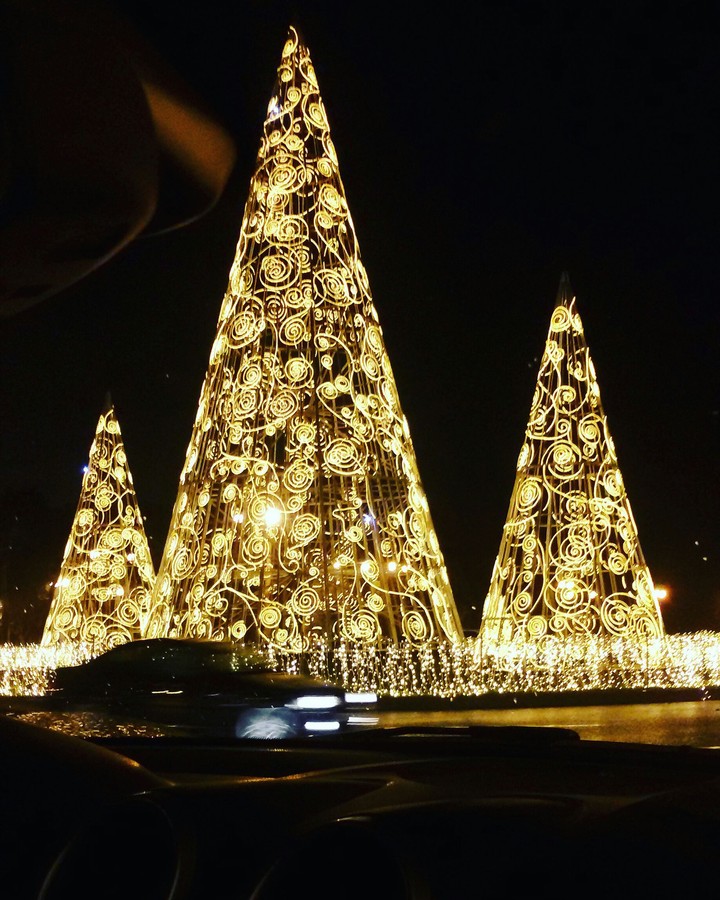 Xmas trees
