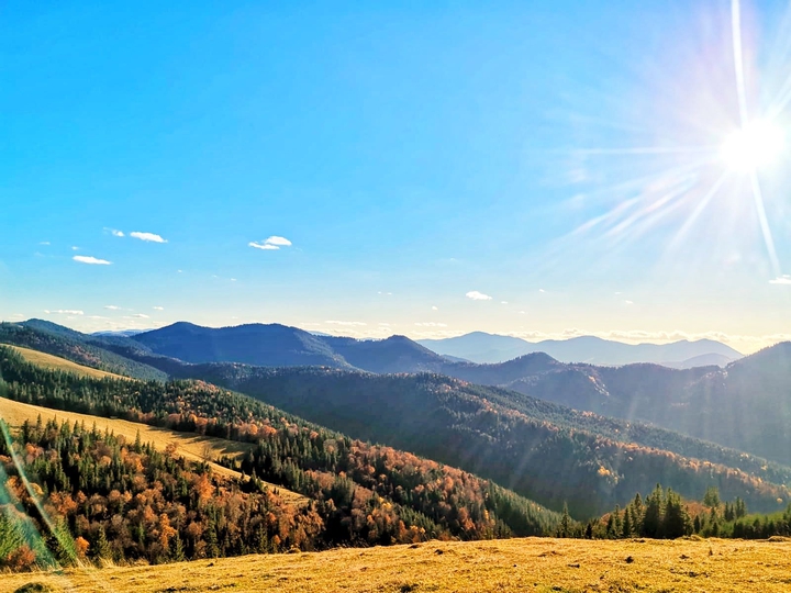 Autumn Landscape