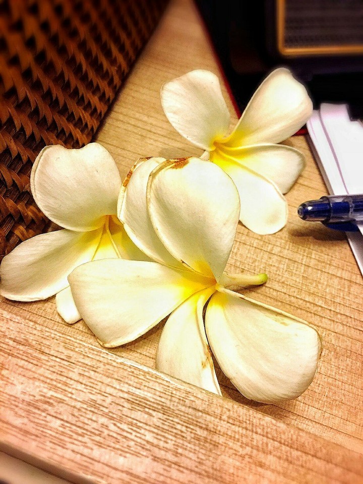 letter & flowers