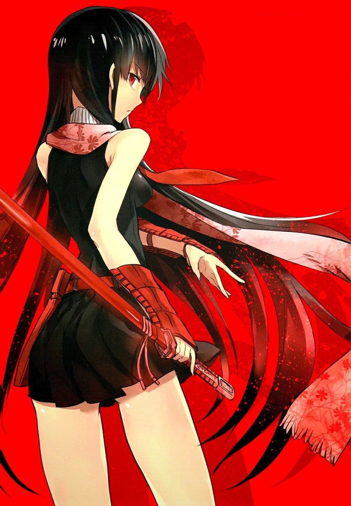 Akame ga kill