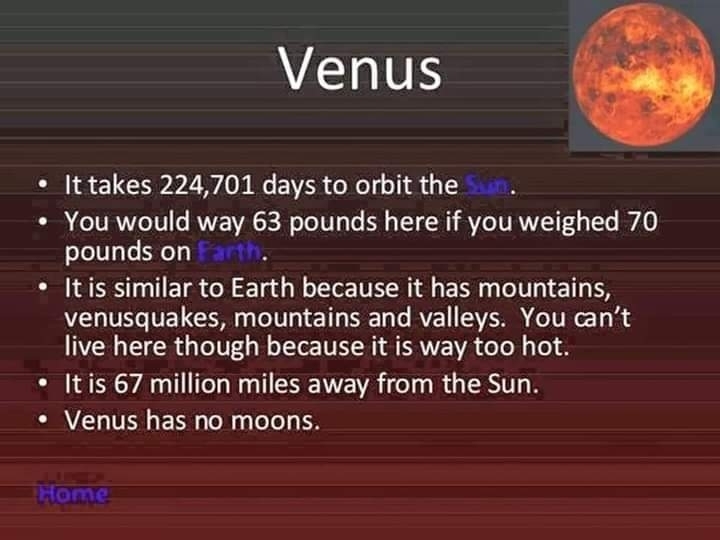 The Venus