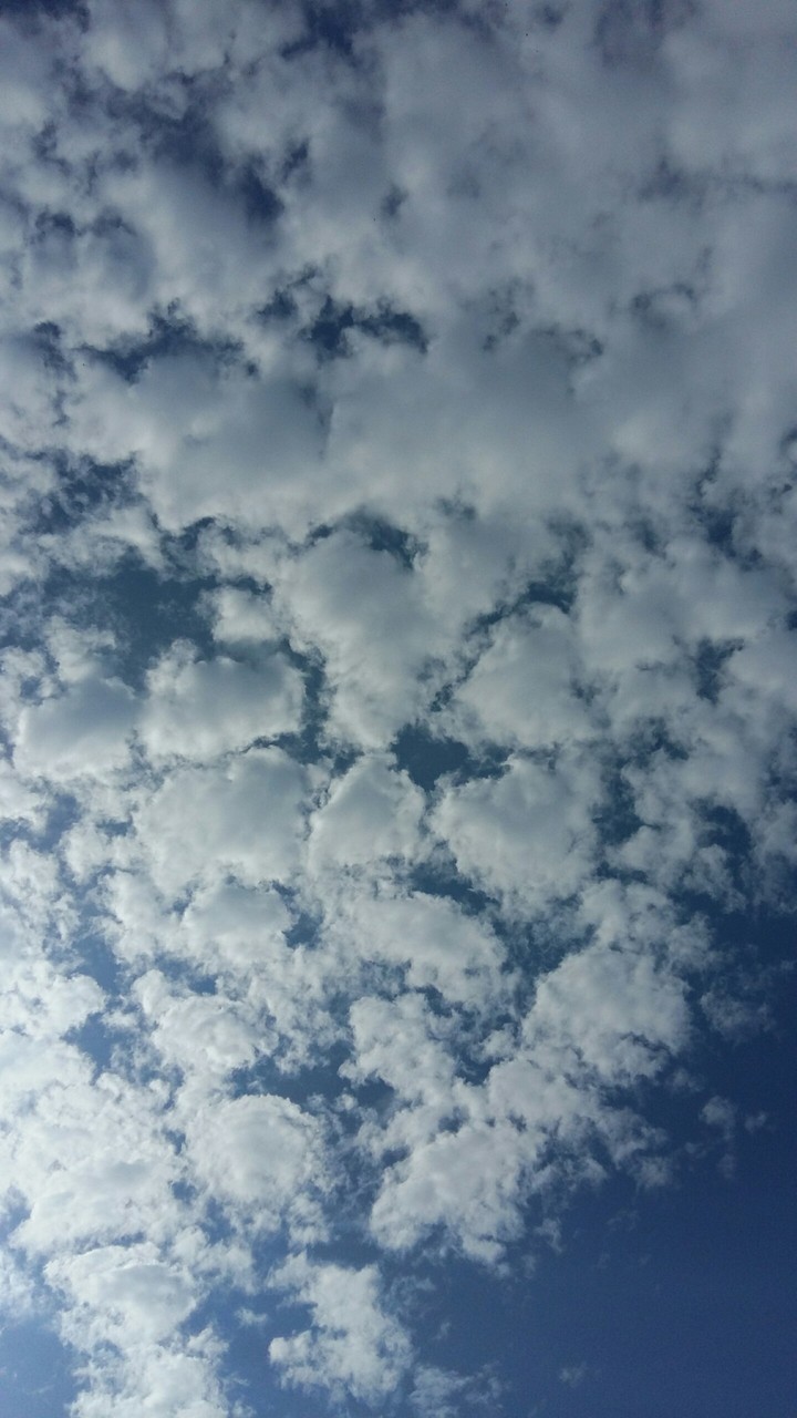skylight