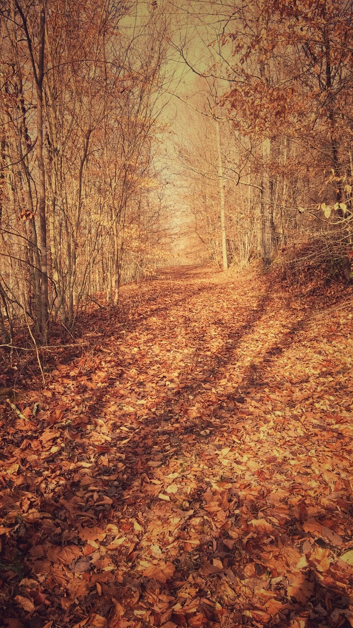 Tennessee