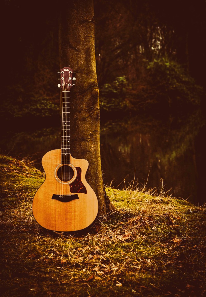 the guitar forest