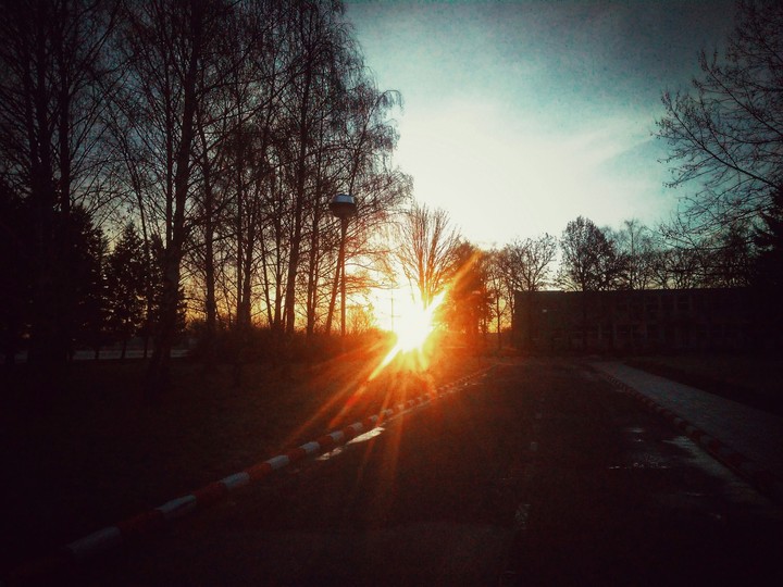 Good norning