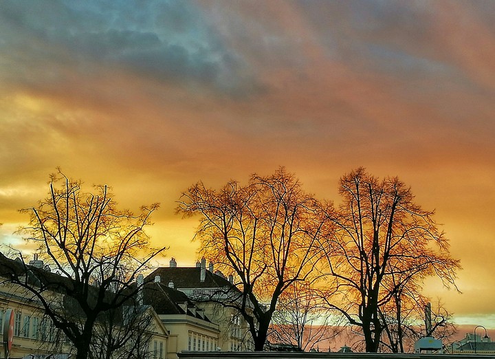 evening in Vienna
