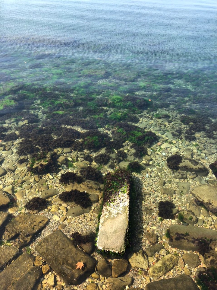 sea