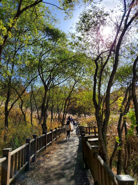 가을