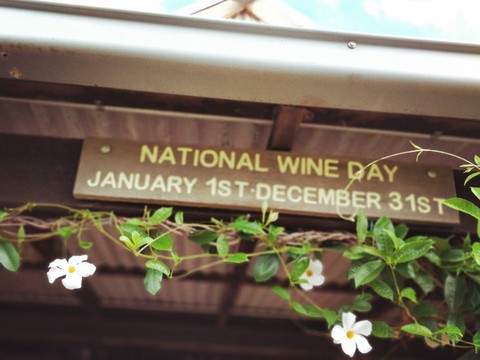 Wine Everytime!