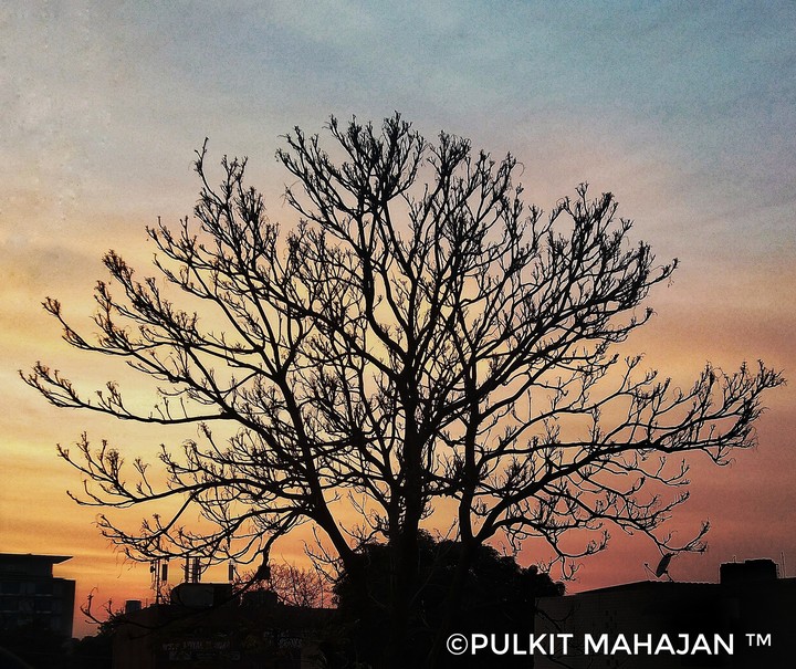 BEAUTY OF NATURE