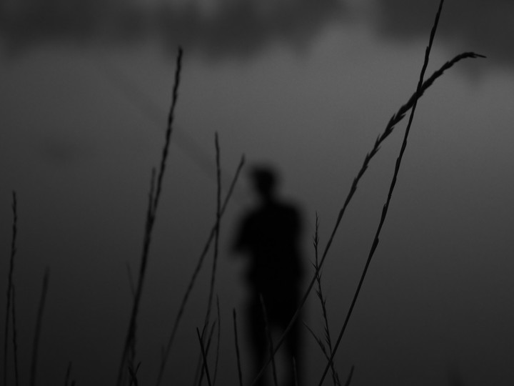 Angler, angeln, See, Pflanzen