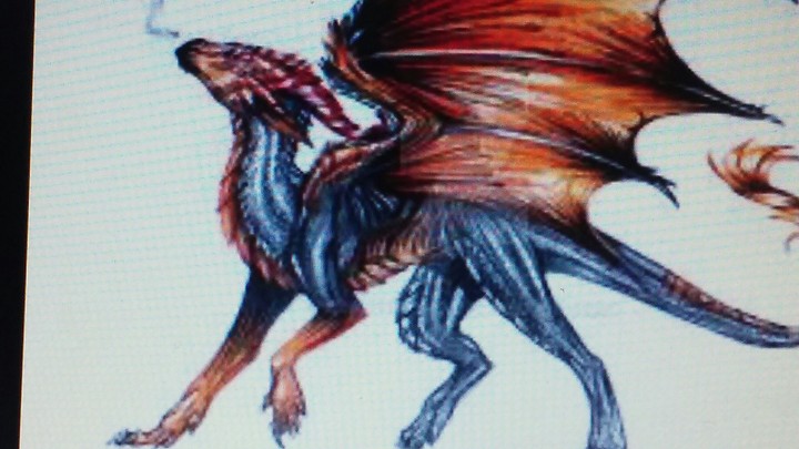 lava dragon