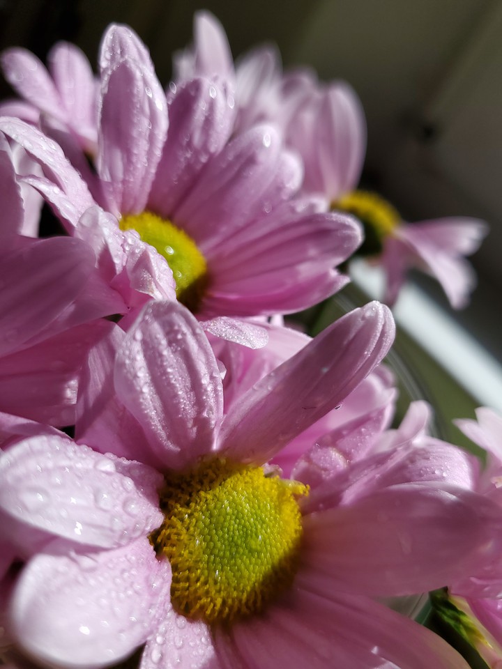 My shot