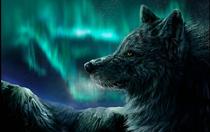 Fantasy of the Northern Lights.